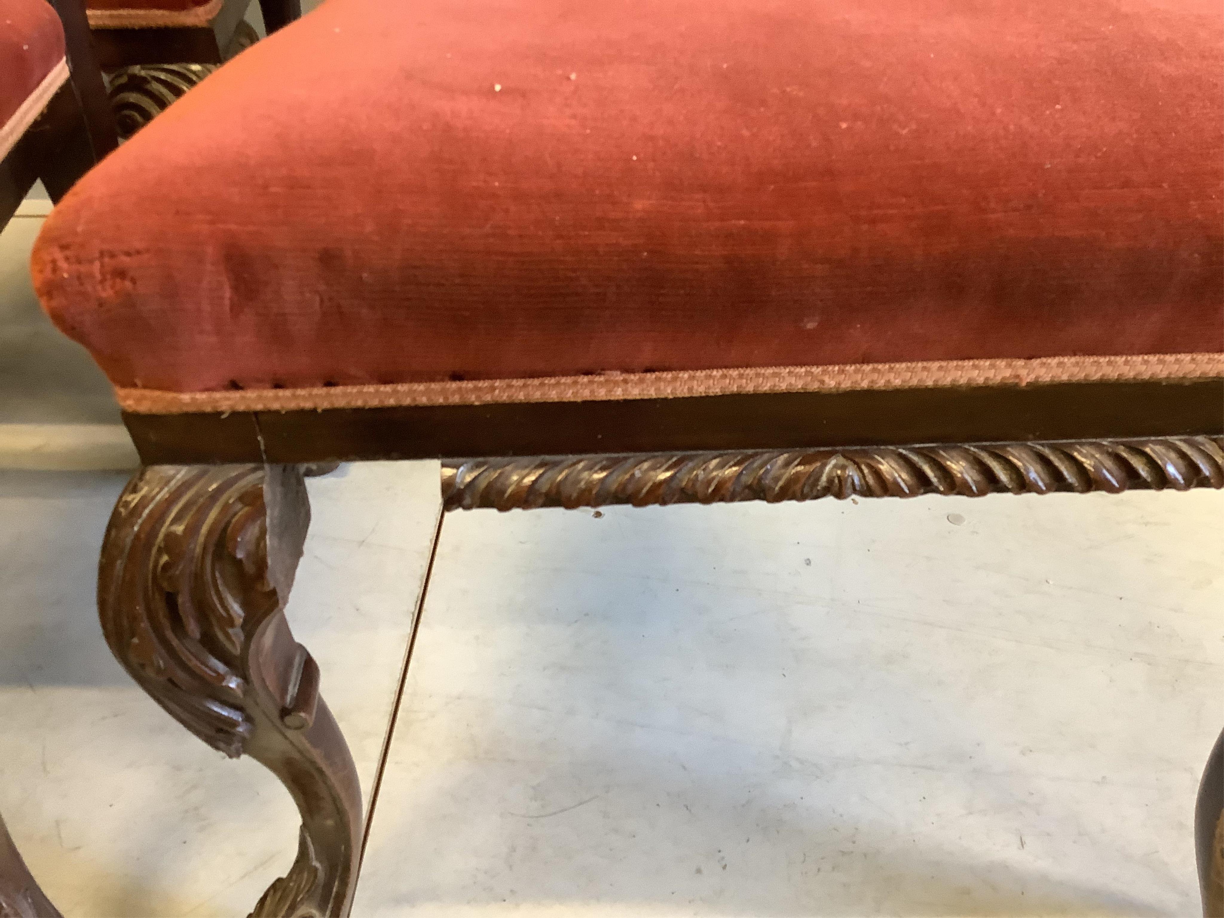 A set of eight Victorian mahogany Chippendale style dining chairs having carved and pierced splats, stuff-over seats on acanthus carved cabriole legs and scroll feet, width 55cm, depth 44cm, height 100cm. Condition - fai